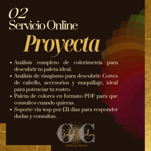 Kit Digital Proyecta